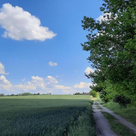 Vierseitenhof Hasenfelde - Ferienwohnung Feldblick Steinhofel Dış mekan fotoğraf