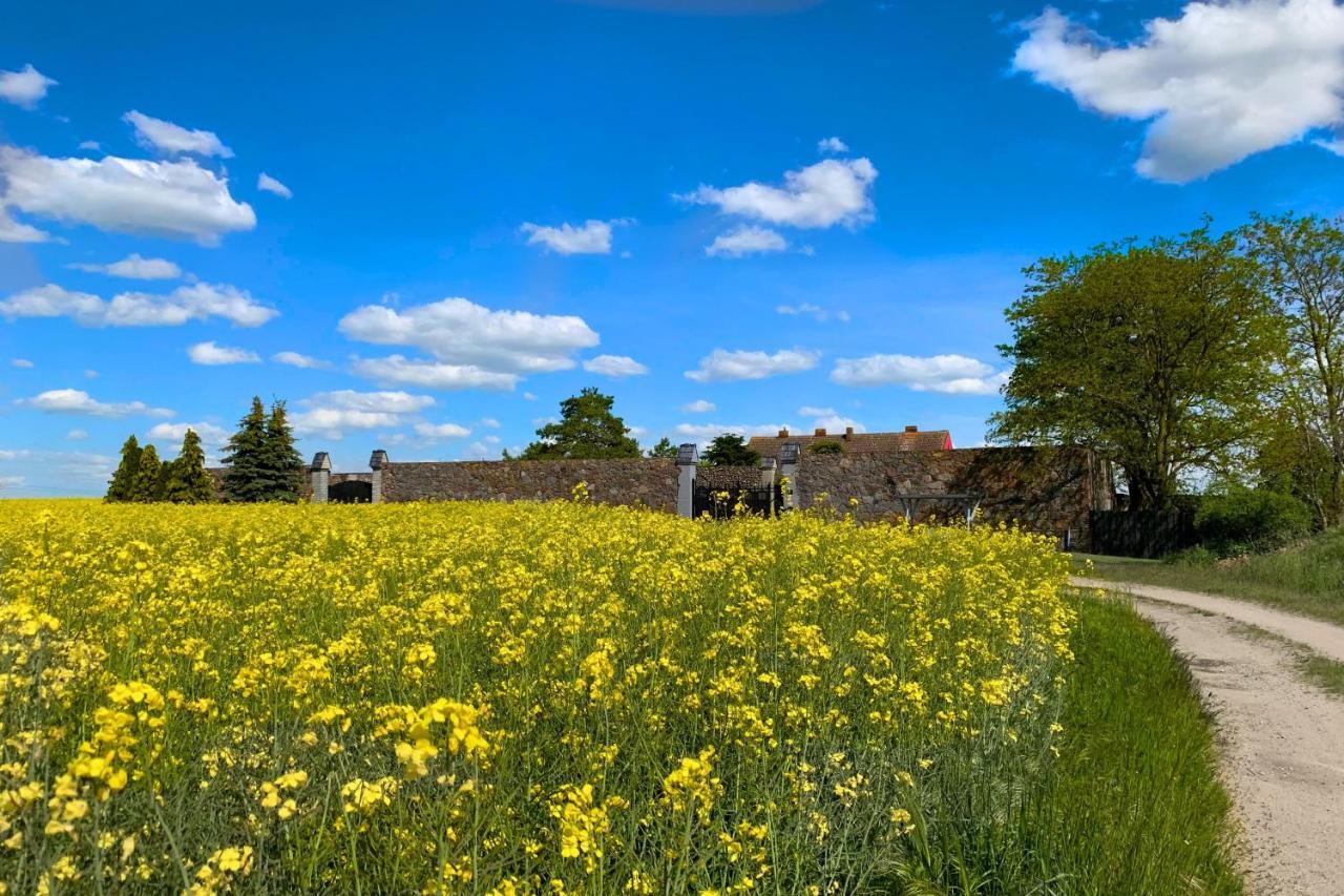 Vierseitenhof Hasenfelde - Ferienwohnung Feldblick Steinhofel Dış mekan fotoğraf