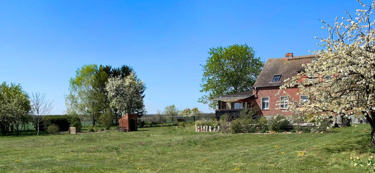 Vierseitenhof Hasenfelde - Ferienwohnung Feldblick Steinhofel Dış mekan fotoğraf