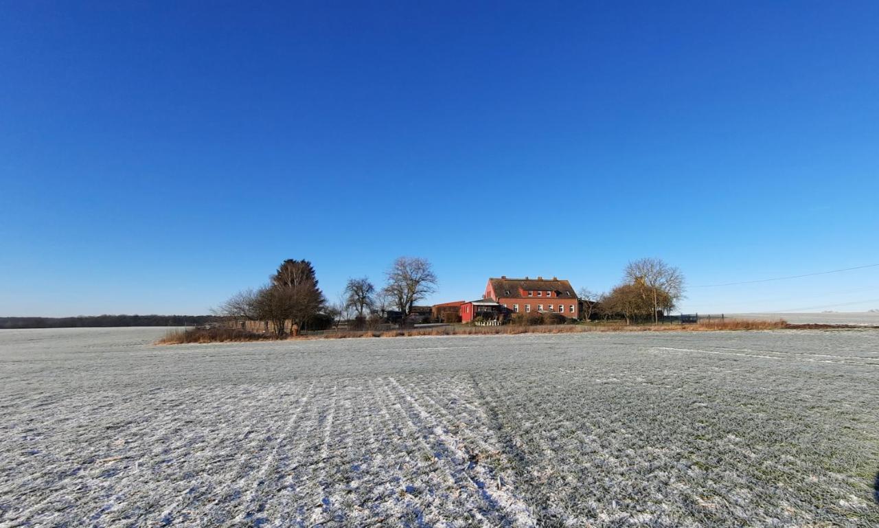 Vierseitenhof Hasenfelde - Ferienwohnung Feldblick Steinhofel Dış mekan fotoğraf