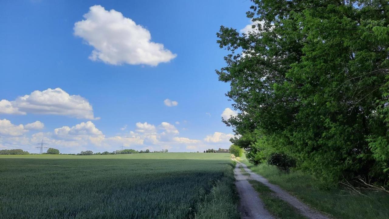 Vierseitenhof Hasenfelde - Ferienwohnung Feldblick Steinhofel Dış mekan fotoğraf